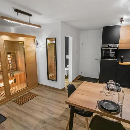 Renove Avec Vue Panoramique Et Sauna * Saas Fee