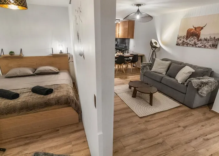 公寓 Renove Avec Vue Panoramique Et Sauna *