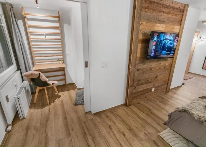 公寓 Renove Avec Vue Panoramique Et Sauna 萨斯费