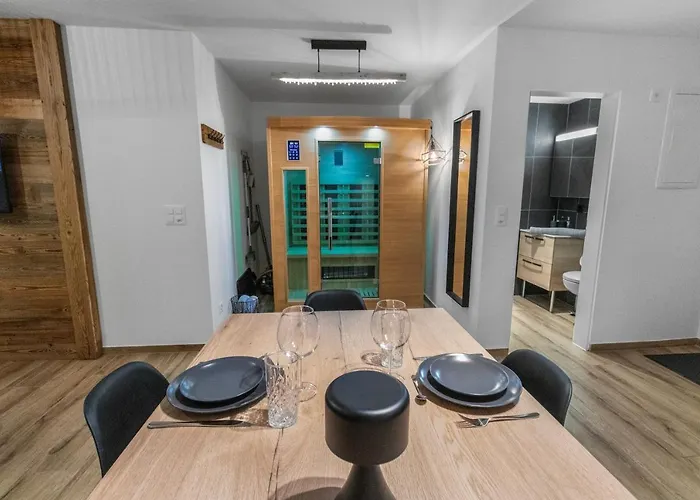 公寓 Renove Avec Vue Panoramique Et Sauna 萨斯费