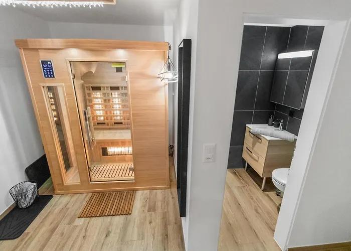 Renove Avec Vue Panoramique Et Sauna 公寓 萨斯费